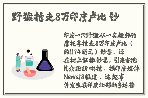 中文字字幕**中文